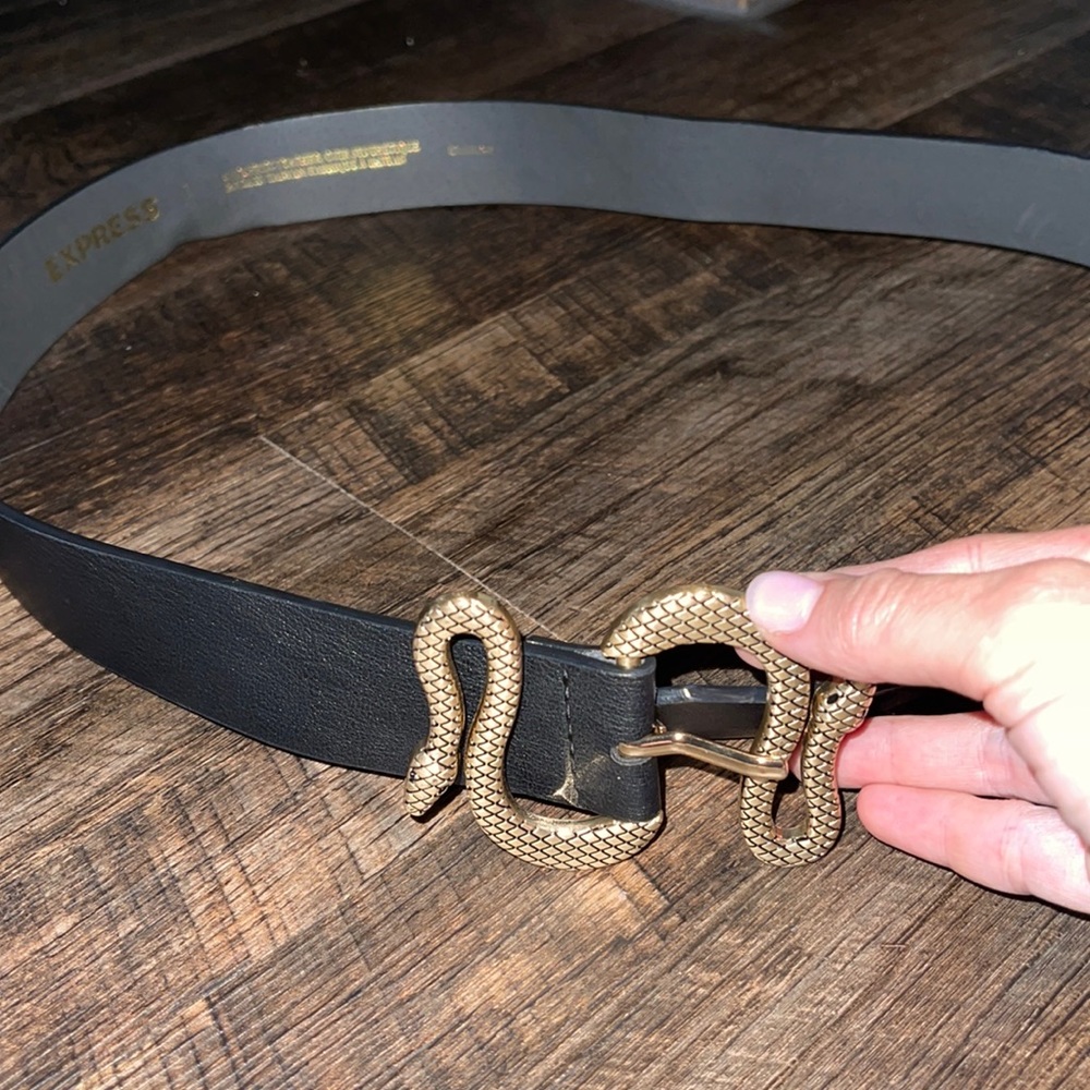 Snaked inspired express belt